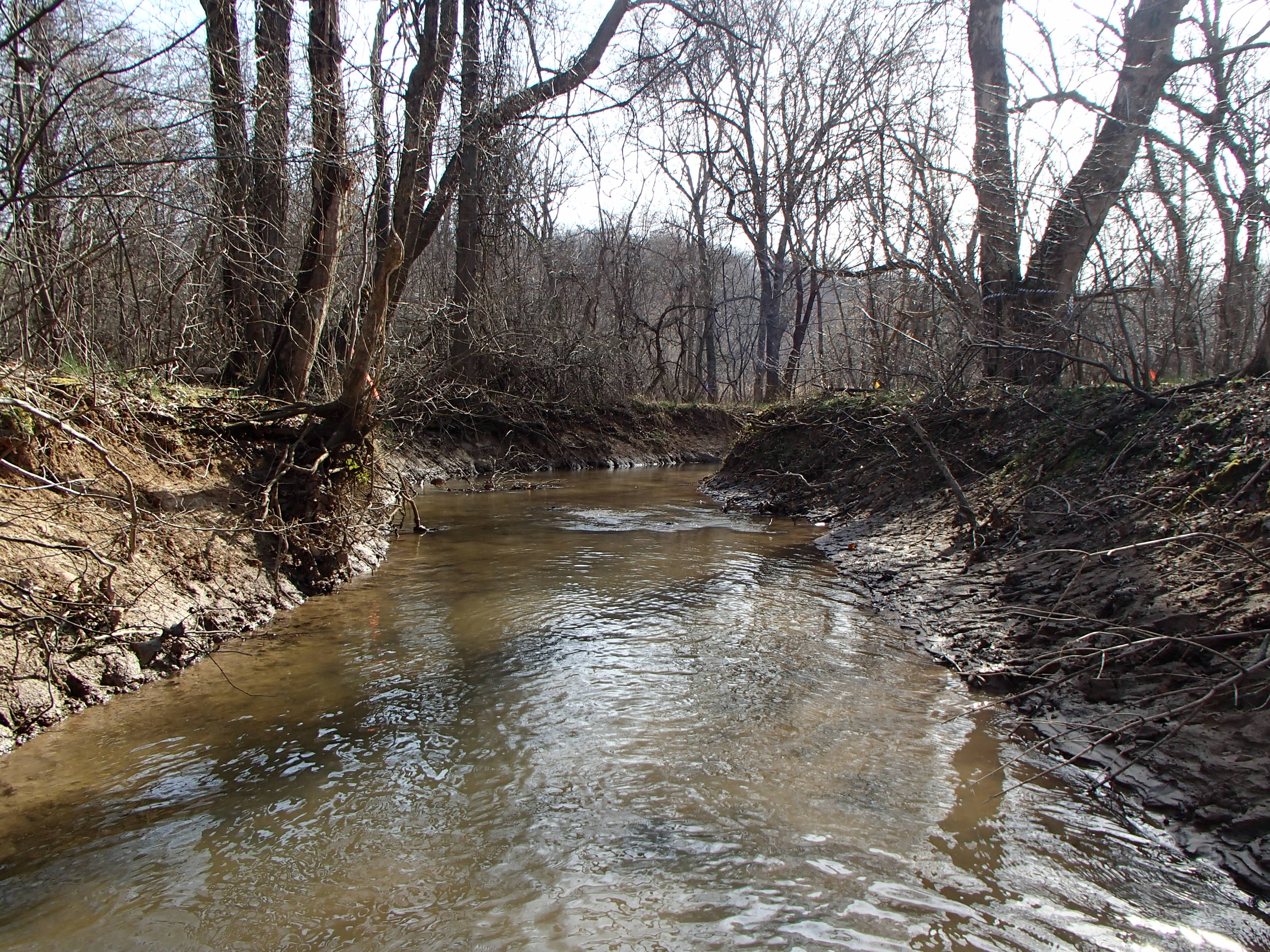Field photo showing stream conditions at site WEST-110-X-2016_midpoint looking downstream